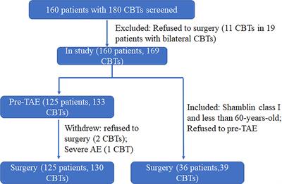 Beneficial effects of preoperative superselective embolization on carotid body tumor surgery: A 13-year single-center experience